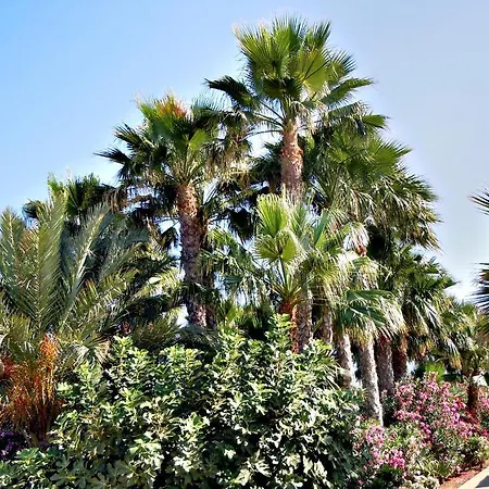 Rododafni Aparthotel Klorakas